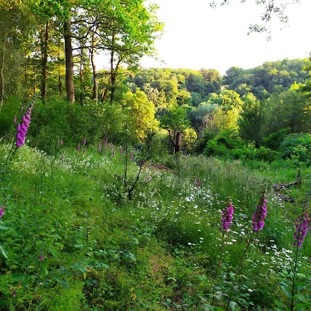 Les Beaux Chenes Couette-café 3*