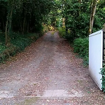 Les Beaux Chenes Bed & Breakfast Mortagne-sur-Sevre