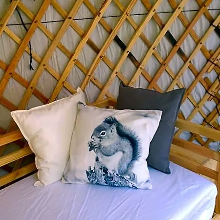Les Beaux Chenes Bed & Breakfast