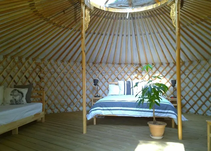 Les Beaux Chenes Mortagne-sur-Sevre