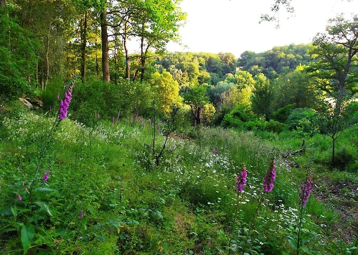 Les Beaux Chenes Bed & Breakfast 3*